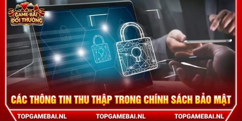 Các thông tin thu thập trong chính sách bảo mật