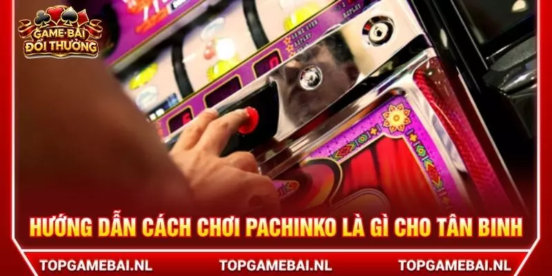 Hướng dẫn cách chơi pachinko là gì cho tân binh
