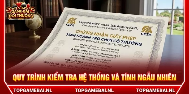 Quy trình kiểm tra hệ thống và tính ngẫu nhiên