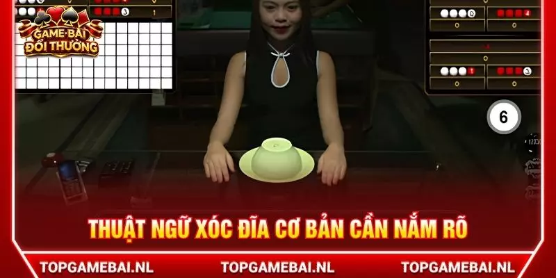 Thuật ngữ xóc đĩa cơ bản cần nắm rõ