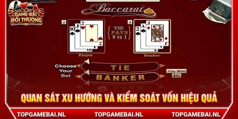 Quan sát xu hướng và kiểm soát vốn hiệu quả