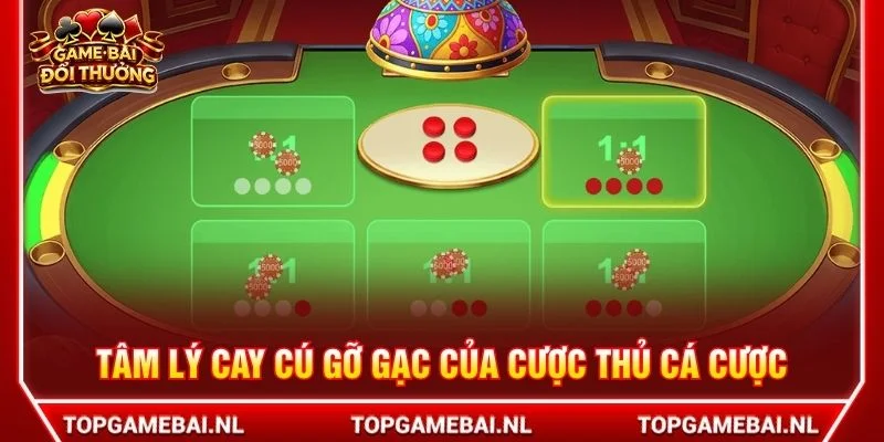 Tâm lý cay cú gỡ gạc của cược thủ cá cược