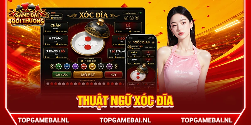 thuật ngữ xóc đĩa