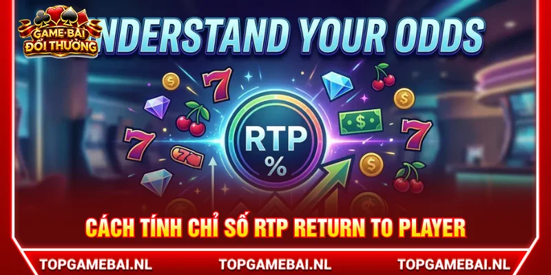 Hướng dẫn công thức tính RTP Return to Player